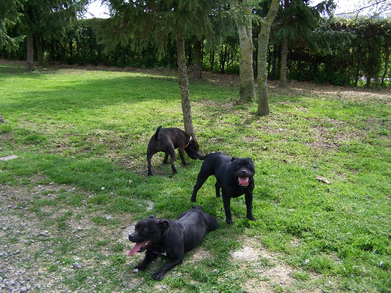 Photo de groupe